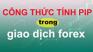 Cách tính giá trị pip trong Forex là gì?