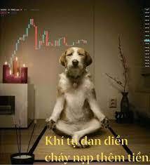 XAU-trader-cháy-nạp-thêm-tiền