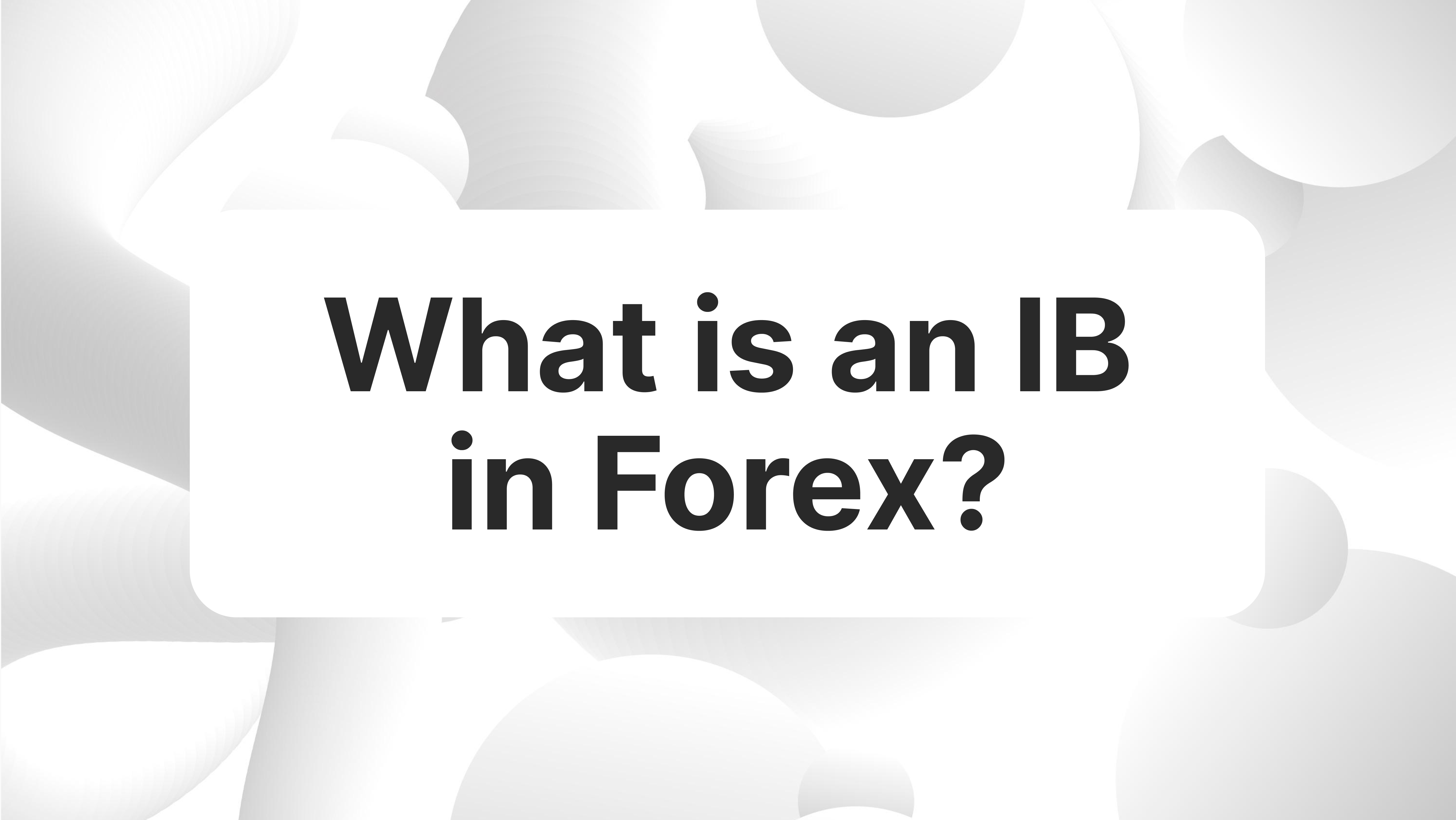What is Introducing Brokers (IB)