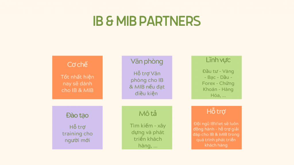 What is Master Introducing Brokers (MIB)
