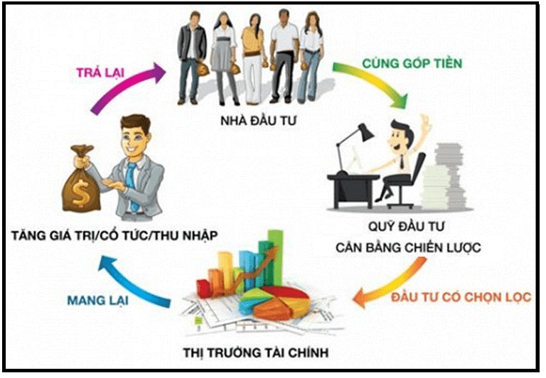 Thiếu hiểu biết về thị trường tài chính quốc tế